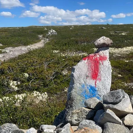 Villa Mountain With Amazing View Of Hardangervidda! Nordstebo