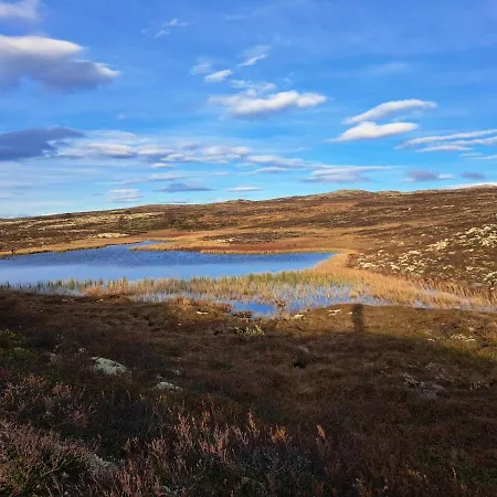 Villa Mountain With Amazing View Of Hardangervidda! Nordstebo