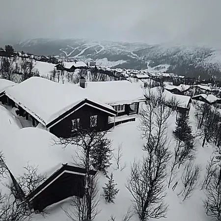 Villa Mountain With Amazing View Of Hardangervidda! Nordstebo