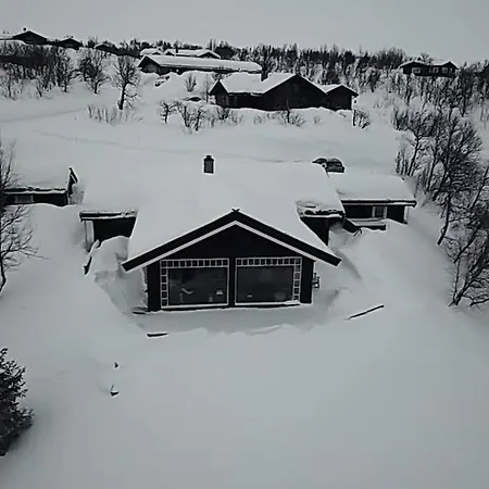Mountain With Amazing View Of Hardangervidda! Villa Nordstebo