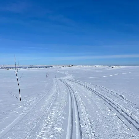Mountain With Amazing View Of Hardangervidda! *