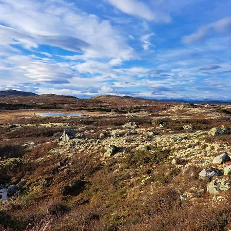 Mountain With Amazing View Of Hardangervidda! Villa *