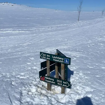 Mountain With Amazing View Of Hardangervidda! Villa *