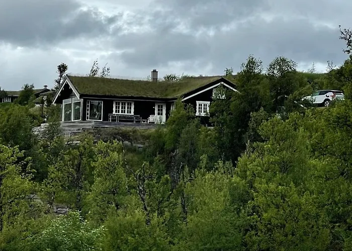 Mountain With Amazing View Of Hardangervidda! Villa Nordstebo