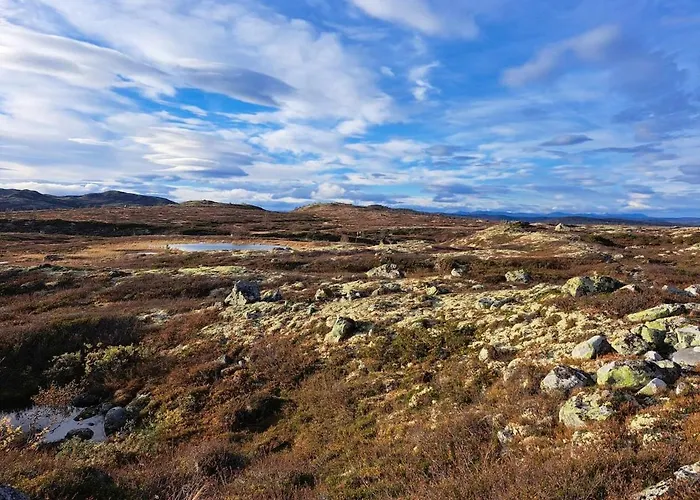 Mountain With Amazing View Of Hardangervidda! Villa *