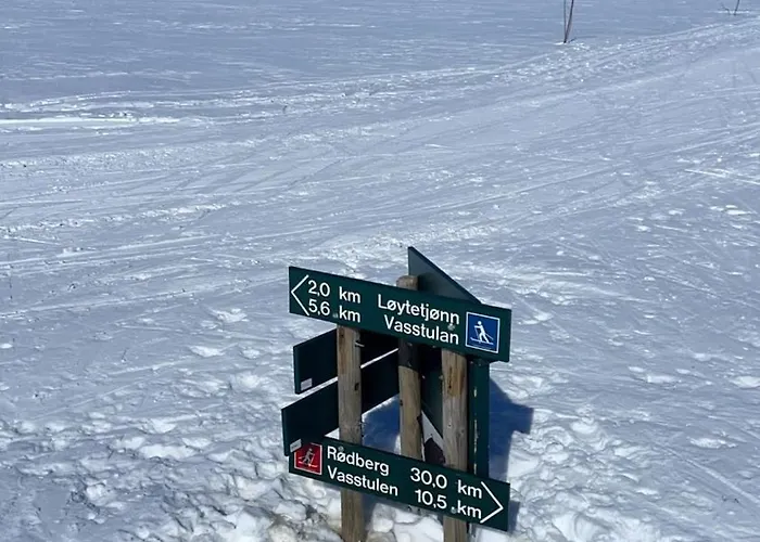 Mountain With Amazing View Of Hardangervidda! Villa *