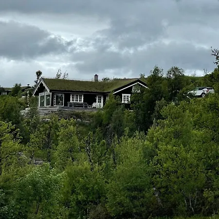 Mountain With Amazing View Of Hardangervidda! Villa Nordstebo